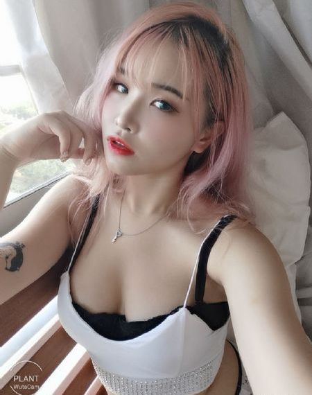 一家乱战电影在线播放_超清最新电影在线观看