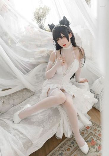 紧急呼救第六季_电视剧高清在线观看