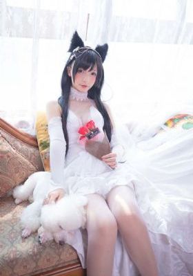 铁拳浪子_午夜在线观看完整版